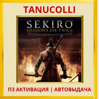 ☀️ Sekiro Dhadows Die Twice (PS4/PS5/RU) П3 Активация