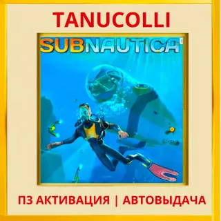 ☀️ Subnautica (PS4/PS5/RU) П3 - Активация