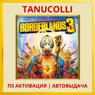 ☀️ Borderlands 3 (PS4/PS5/RU) П3 - Активация